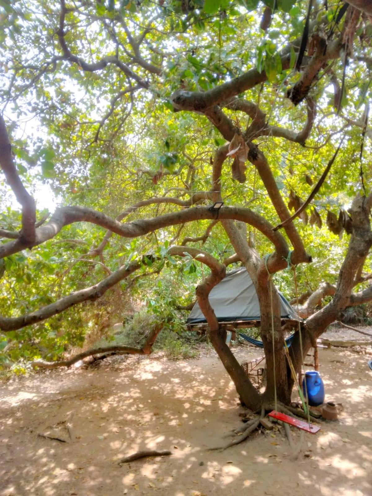 Peace Garden Inn Auroville Kültér fotó
